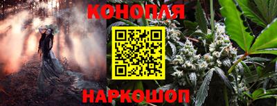 амф Лесосибирск