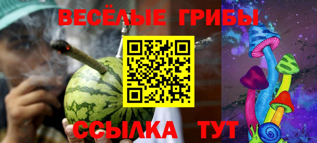 Галлюциногенные грибы мицелий Чебоксары