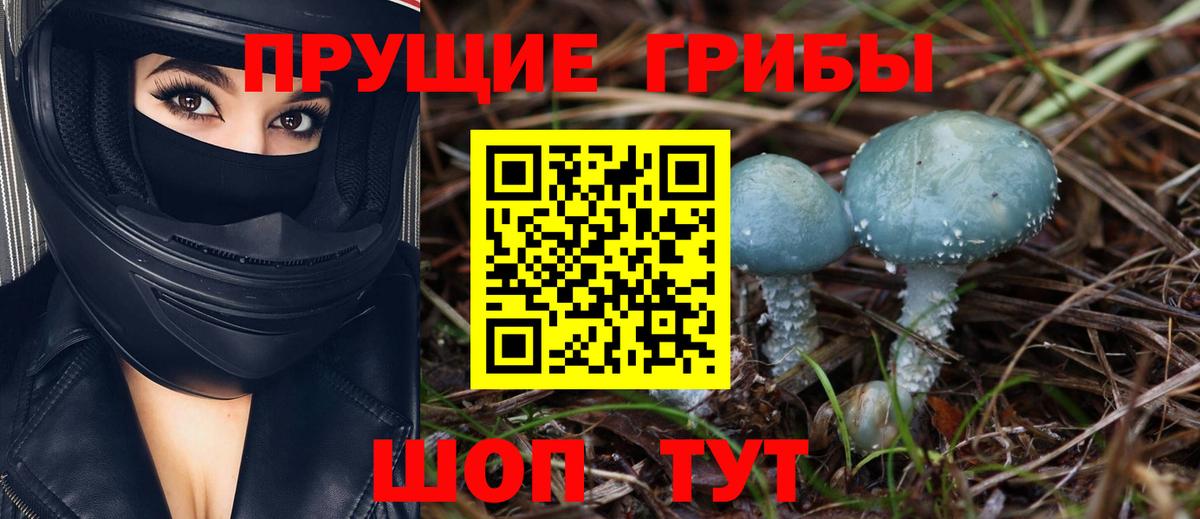 Галлюциногенные грибы MAGIC MUSHROOMS  Вход с VPN  Чебоксары 